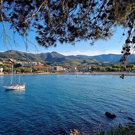 Apartment Studio/mezzanine 5 Pers - Parking, Climatise - Fr-1-225c-154 Banyuls-sur-Mer
